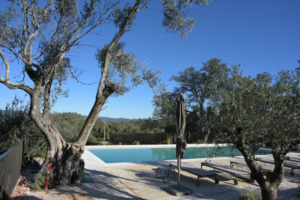 Terasse avec piscine et un arbre