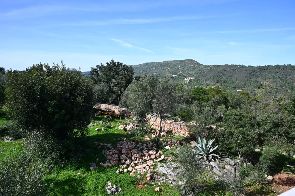 Jardin et buissons à Penedo do Bufo
