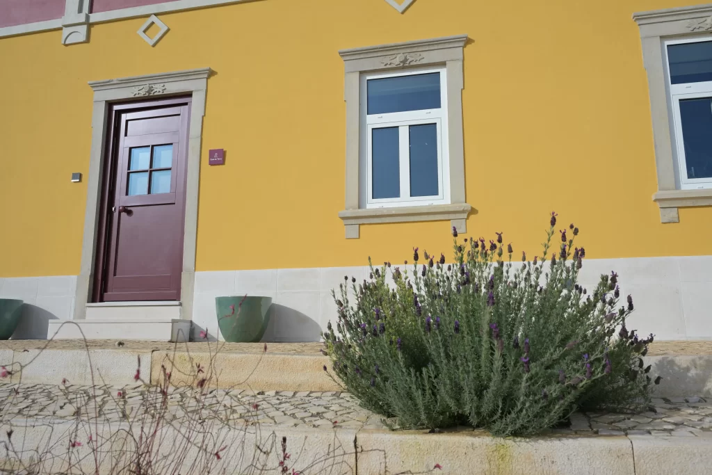 Plantes devant la façade